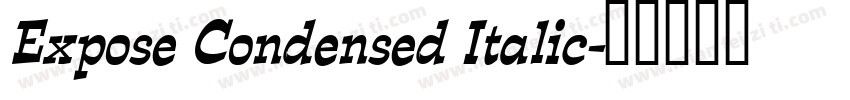 Expose Condensed Italic字体转换